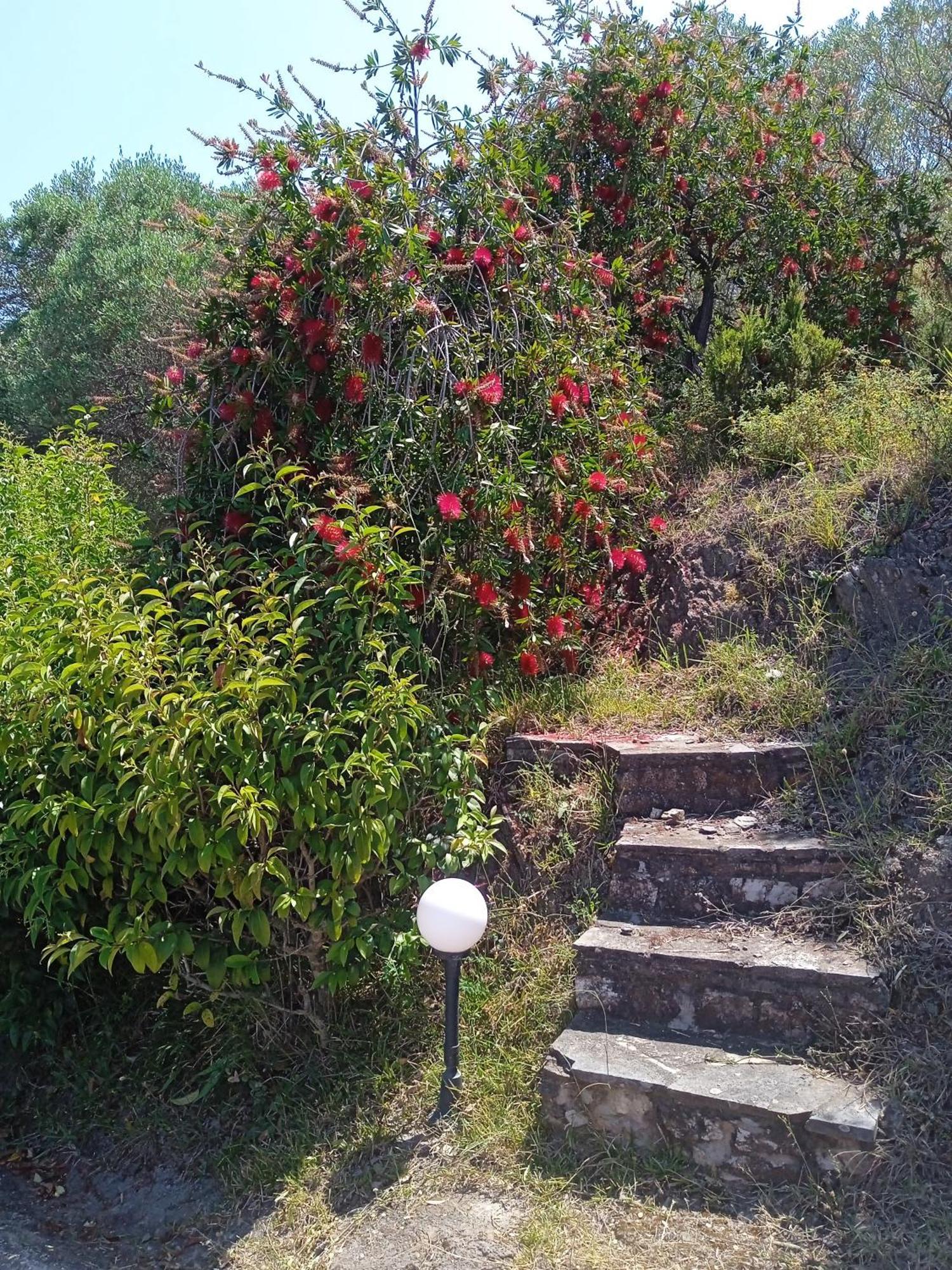 Villa Butterfly Néa Ródha Exterior foto